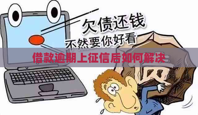借款逾期上后如何解决