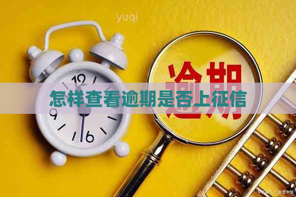 怎样查看逾期是否上