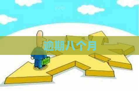 逾期八个月