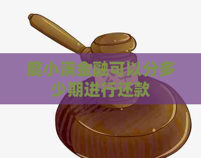 度小满金融可以分多少期进行还款