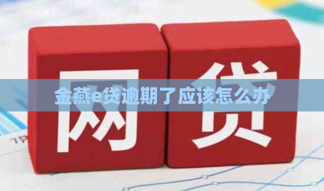 金燕e贷逾期了应该怎么办