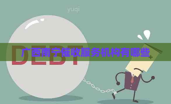 广西南宁服务机构有哪些