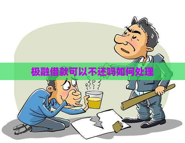极融借款可以不还吗如何处理