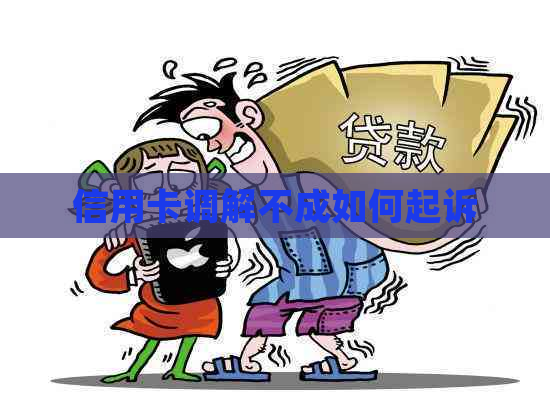 信用卡调解不成如何起诉