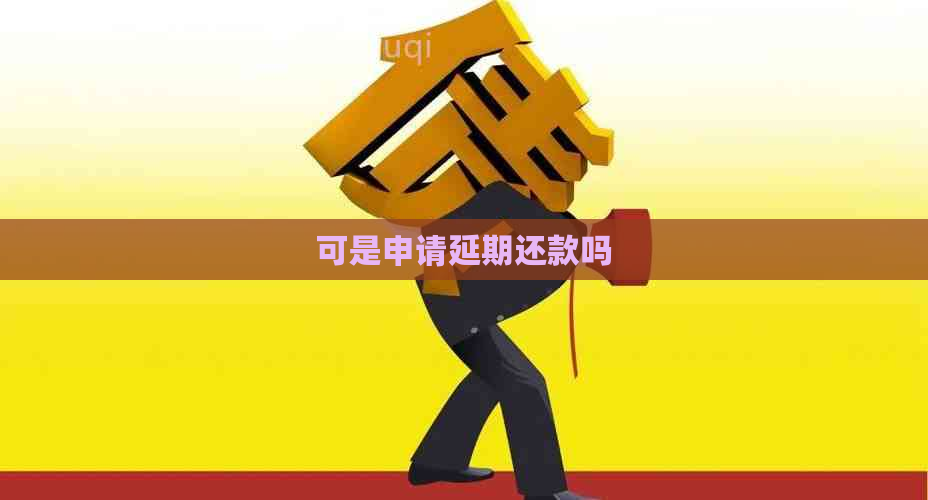 可是申请延期还款吗