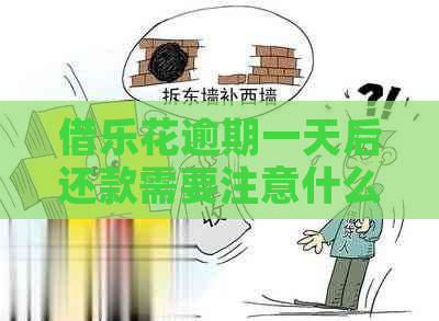 借乐花逾期一天后还款需要注意什么
