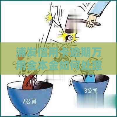 浦发信用卡逾期万用金本金如何处理
