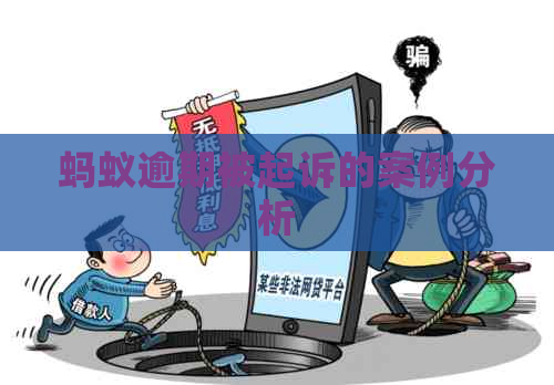 蚂蚁逾期被起诉的案例分析