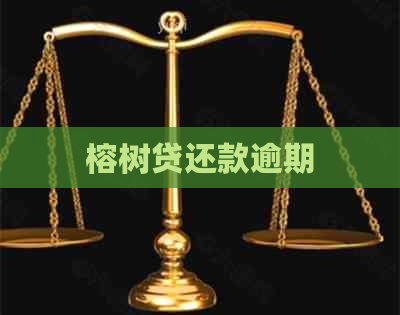 榕树贷还款逾期