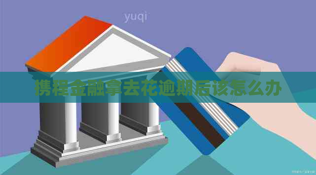携程金融拿去花逾期后该怎么办