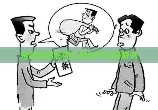 金融借款逾期立案还可以调解吗