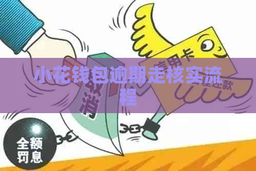 小花钱包逾期走核实流程