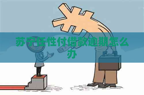 苏宁任性付借款逾期怎么办