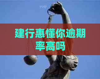 建行惠懂你逾期率高吗