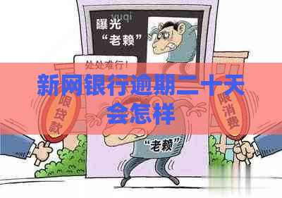 新网银行逾期二十天会怎样