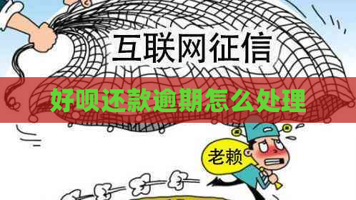 好呗还款逾期怎么处理