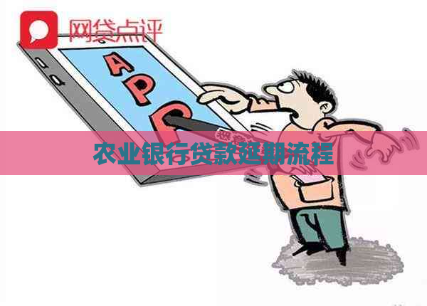 农业银行贷款延期流程