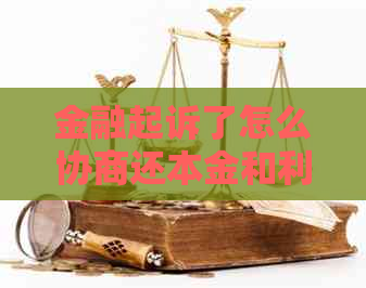 金融起诉了怎么协商还本金和利息