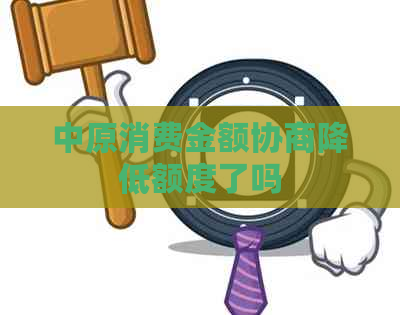 中原消费金额协商降低额度了吗