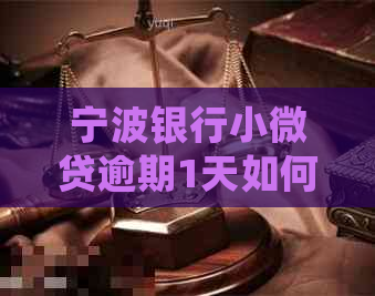 宁波银行小微贷逾期1天如何处理