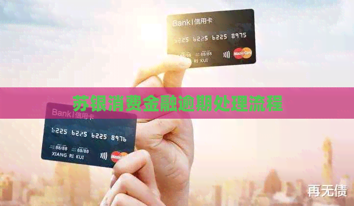 苏银消费金融逾期处理流程