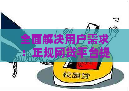 全面解决用户需求：正规网贷平台提供信用卡代还服务，安全可靠又省心