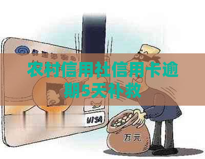 农村信用社信用卡逾期5天补救