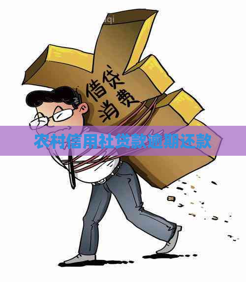 农村信用社贷款逾期还款