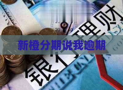 新橙分期说我逾期