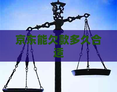 京东能欠款多久合适