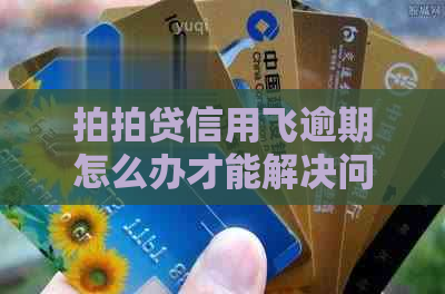 信用飞逾期怎么办才能解决问题