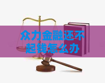 众力金融还不起钱怎么办