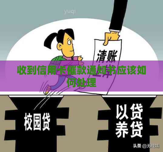 收到信用卡催款通知书应该如何处理