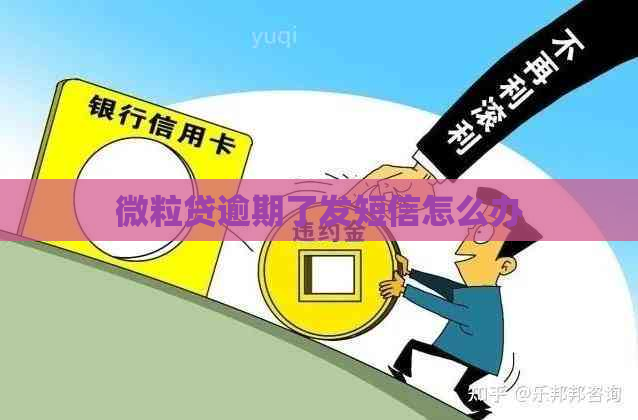 微粒贷逾期了发短信怎么办