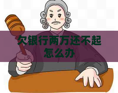 欠银行两万还不起怎么办