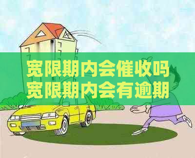 宽限期内会吗宽限期内会有逾期吗