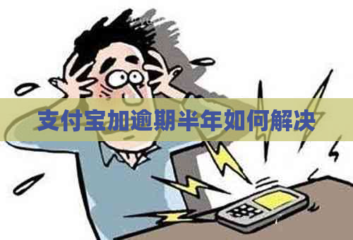 支付宝加逾期半年如何解决