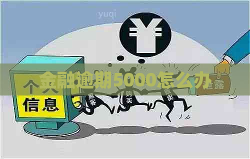 金融逾期5000怎么办 金融逾期5000怎么办