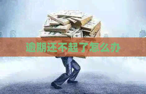 逾期还不起了怎么办