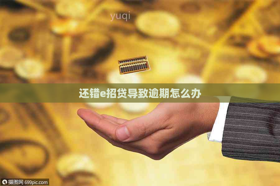 还错e招贷导致逾期怎么办