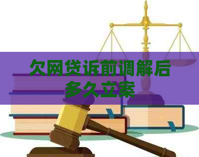 欠网贷诉前调解后多久立案