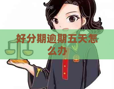 逾期五天怎么办
