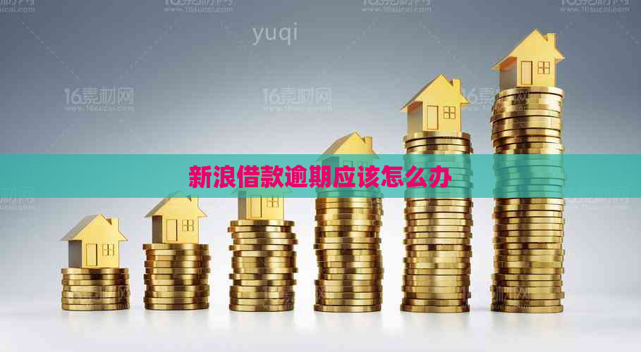 新浪借款逾期应该怎么办