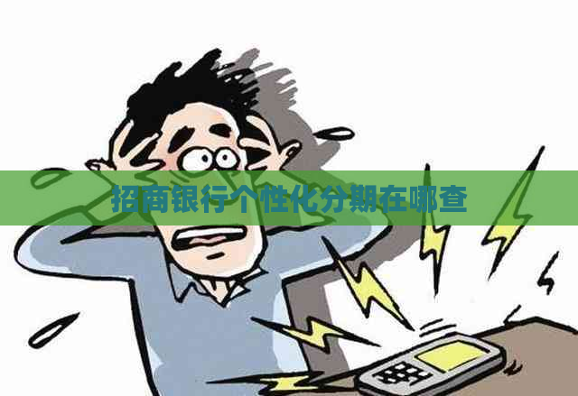 招商银行个性化分期在哪查