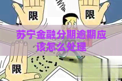 苏宁金融分期逾期应该怎么处理
