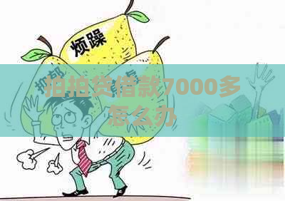 借款7000多怎么办