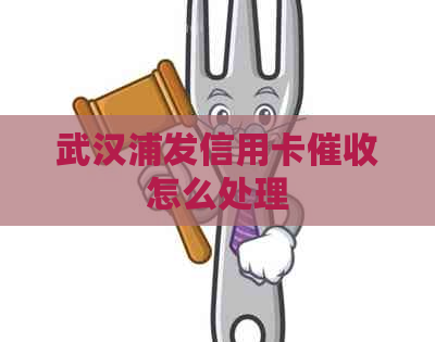 武汉浦发信用卡怎么处理