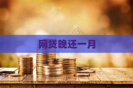 网贷晚还一月