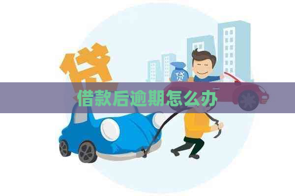 借款后逾期怎么办