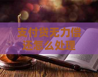 支付贷无力偿还怎么处理